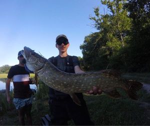 Northern Pike