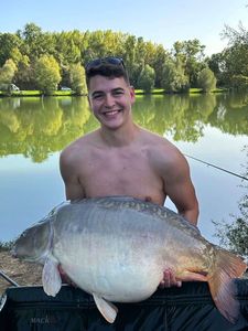 Mirror Carp