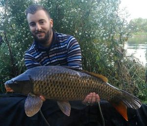 Common Carp