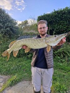 Northern Pike