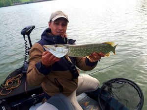 Northern Pike