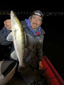 Zander