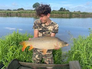 Common Carp