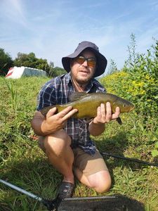 Tench