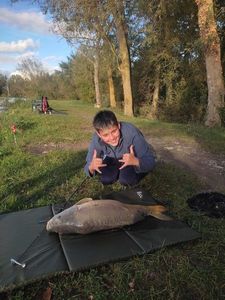 Mirror Carp