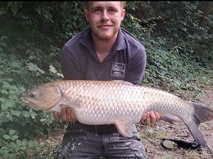 Grass Carp