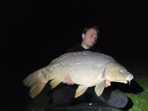 Mirror Carp
