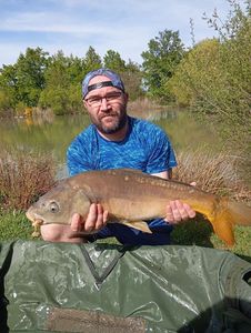 Common Carp