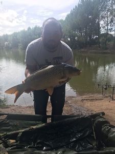 Common Carp