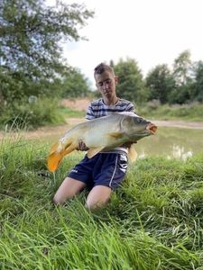 Mirror Carp