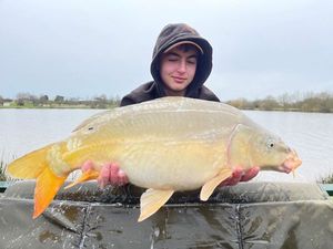 Mirror Carp