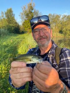 Smallmouth Bass