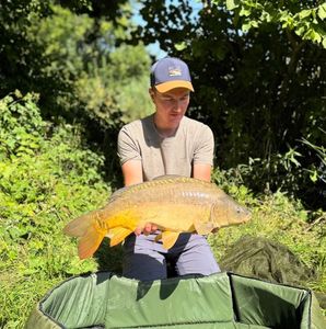 Mirror Carp