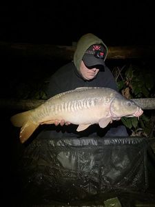 Mirror Carp