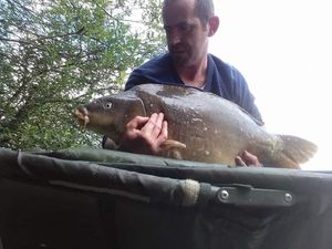 Mirror Carp