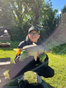 Common Carp