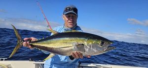 Yellowfin Tuna