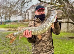 Northern Pike