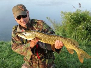 Northern Pike