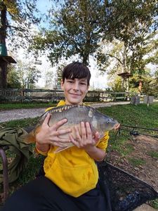 Mirror Carp