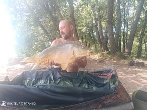 Mirror Carp