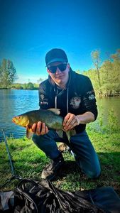 Tench