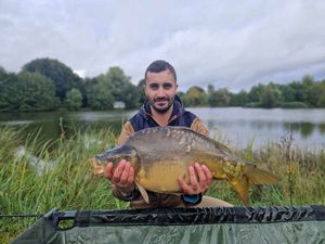 Mirror Carp