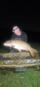 Common Carp