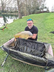 Common Carp