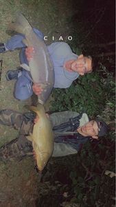 Leather Carp