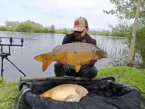 Mirror Carp