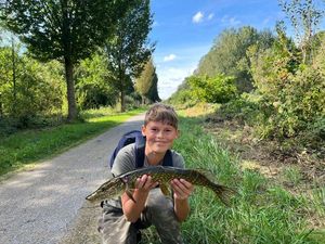 Northern Pike