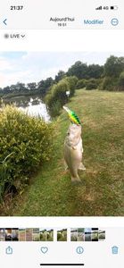 Largemouth Bass