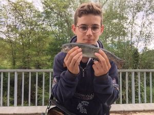 Rainbow Trout