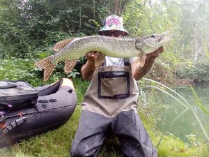 Northern Pike