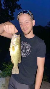 Smallmouth Bass
