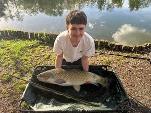 Grass Carp