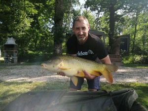 Common Carp