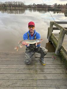 Northern Pike
