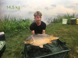 Mirror Carp