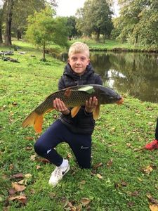 Common Carp