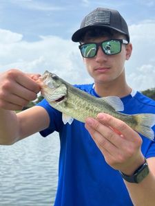Smallmouth Bass