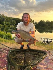 Common Bream