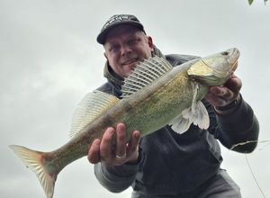 Zander
