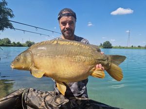 Mirror Carp