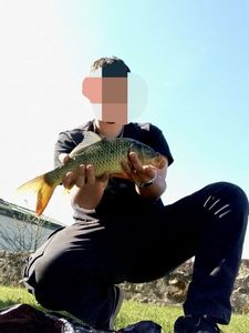 Mirror Carp