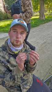 European Perch