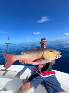 Red Snapper