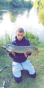Northern Pike