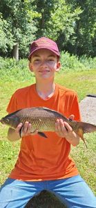 Common Carp